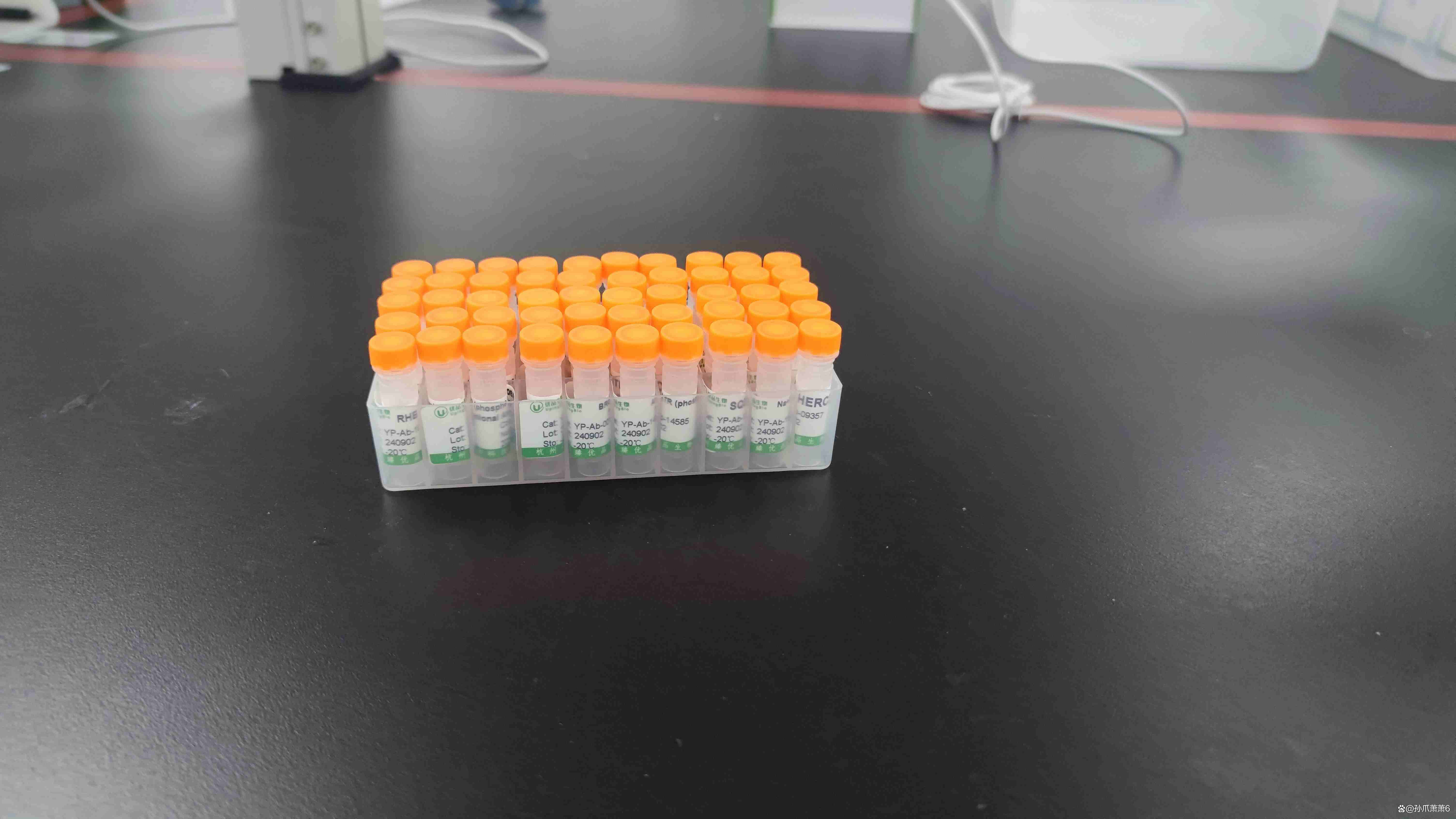 细胞组织原位蛋白质相互作用交联试剂